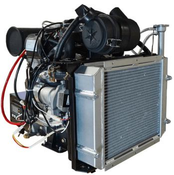 Silnik Diesel RD2V80 20KM